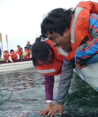 Tocando la ballena
